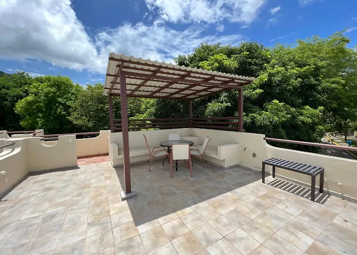 Tropical Gardens And