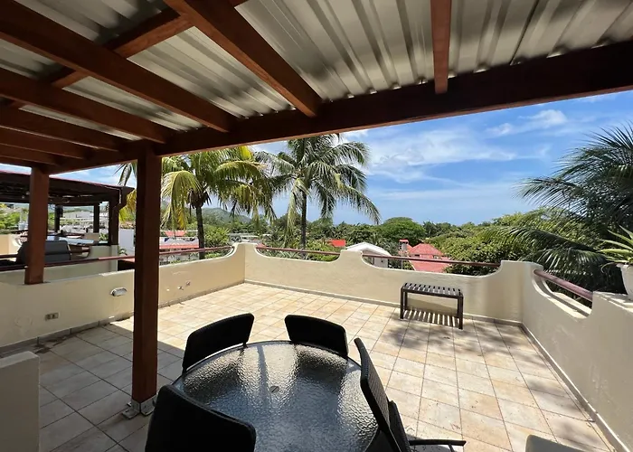 Tropical Gardens And