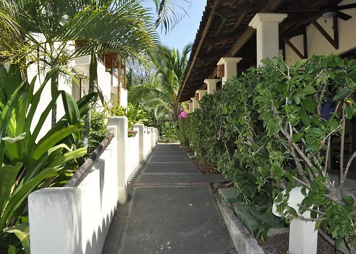 Tropical Gardens And Coco